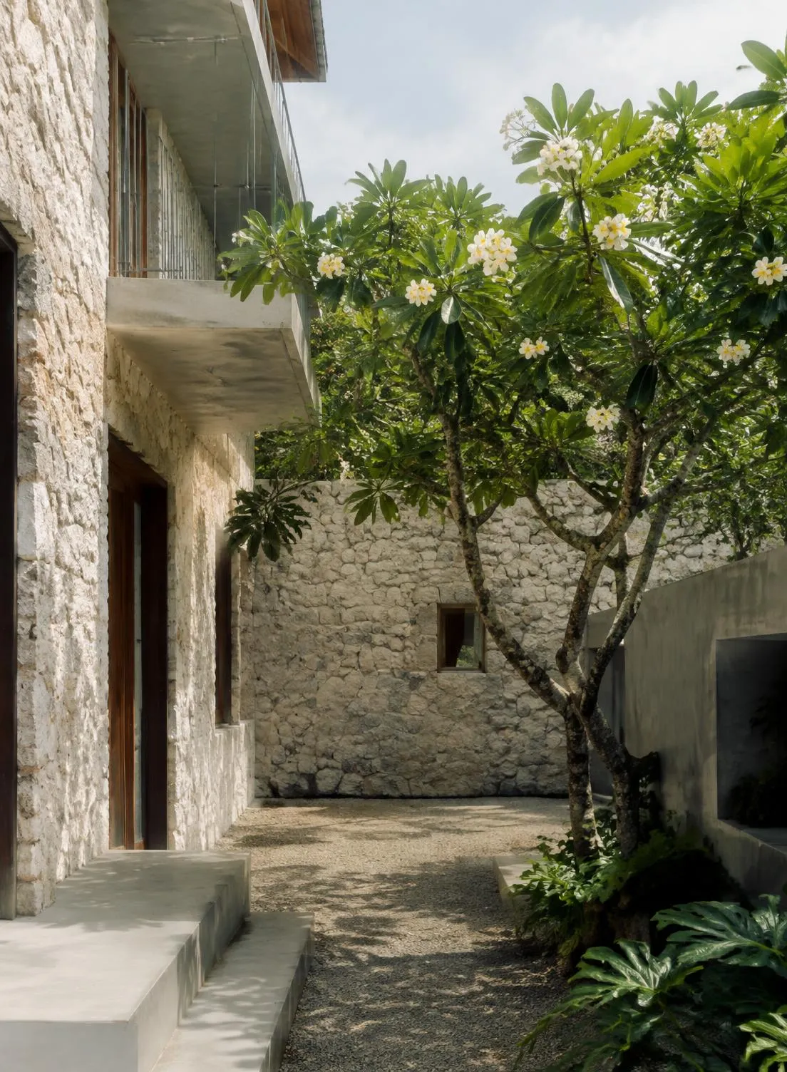 Coral stone courtyard with frangipani tree